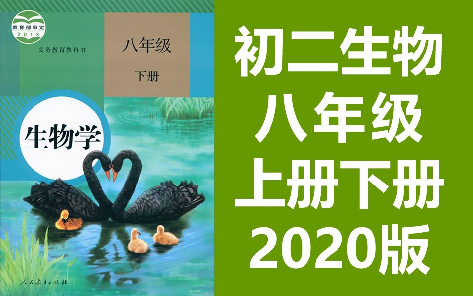 初二生物八年级生物上册+下册 人教版 2022新版 部编版 统编版 下册生物8年级生物初二生物初2生物八年级上册八年级下册8年级下册生物学哔哩哔哩bilibili