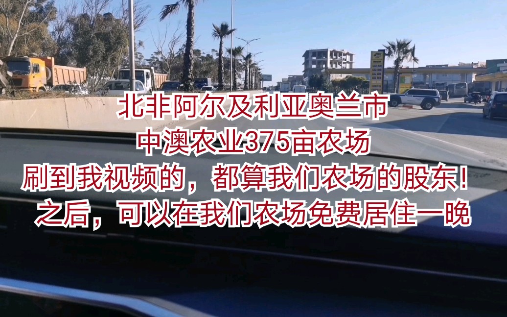 北非阿尔及利亚奥兰市中澳农业375亩农场刷到我视频的,都算我们农场的