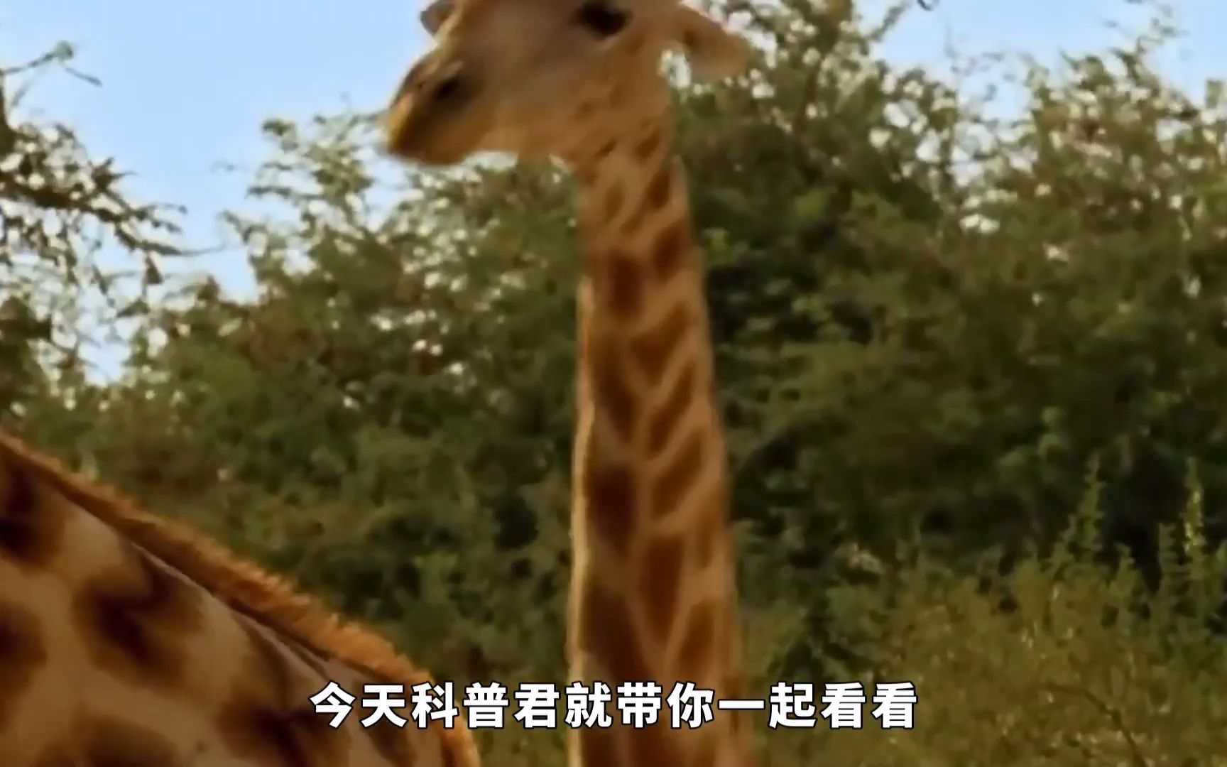 云顶国际- 云顶赌场- 云顶娱乐城新技术能把天价殡葬的价格打下来吗？