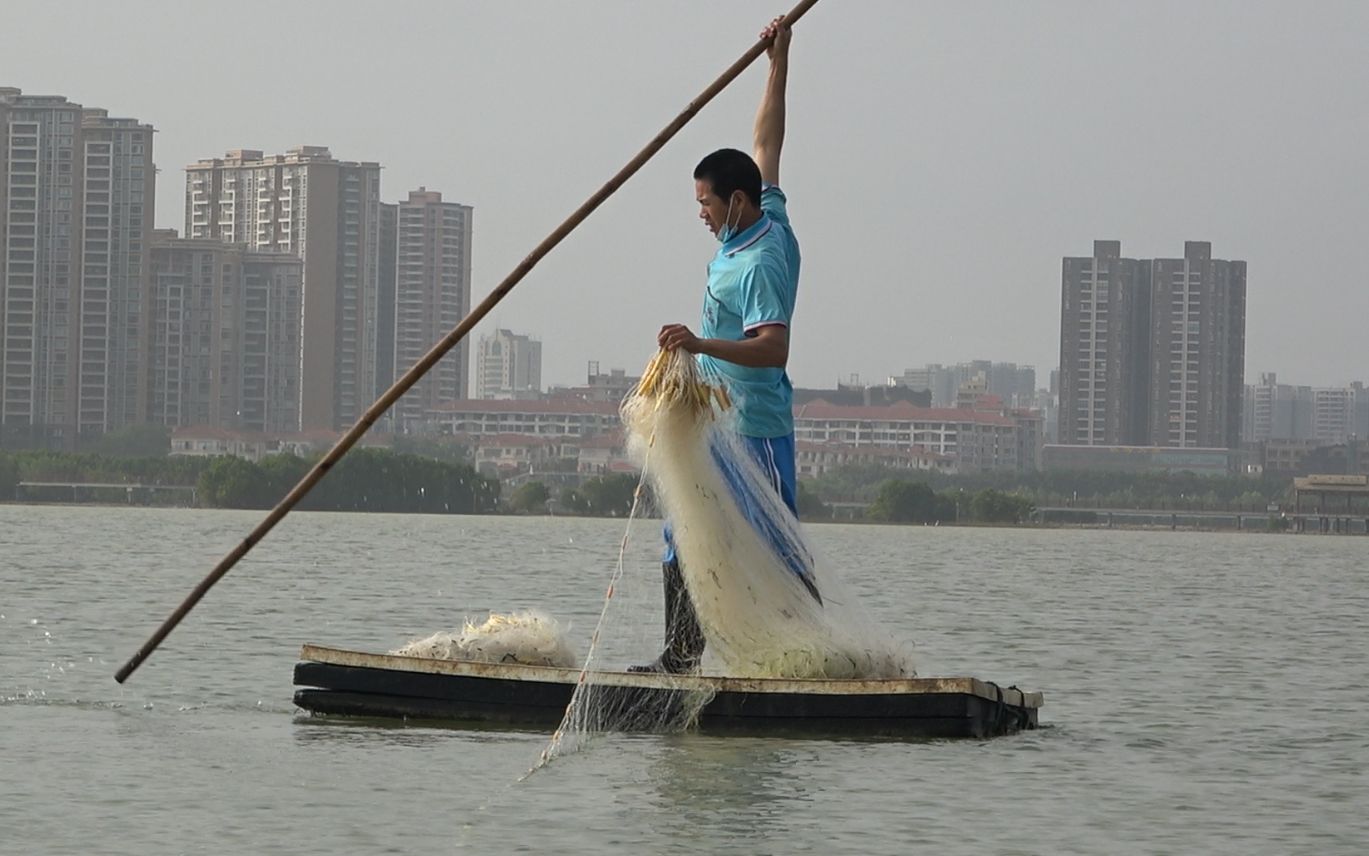 小池赶海撒白网抓海鱼,收到最后一网的时候,小池笑不拢嘴了