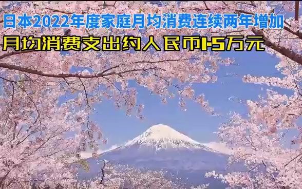 日本2022年度家庭月均消费连续两年增加,月均消费支出约人民币1.5万元哔哩哔哩bilibili