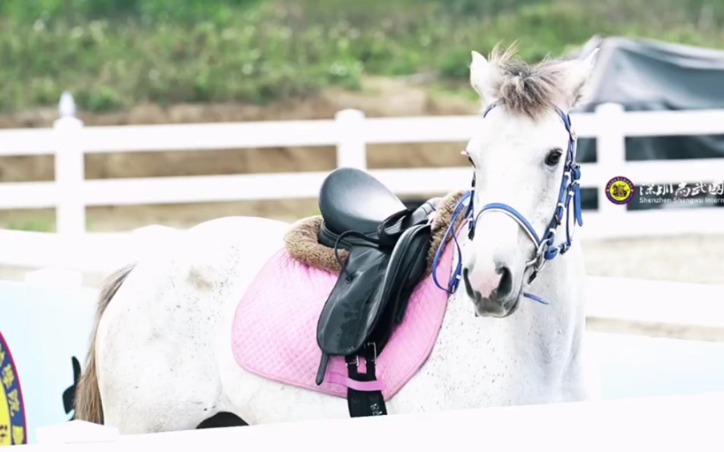 于适 骑射比赛 试骑踏风【最快的马,最惨的摔】