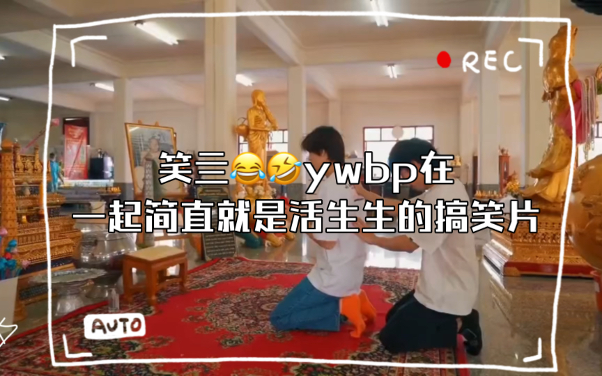 [图]笑亖😂🤣ywbp在一起简直就是活生生的搞笑片，这寡妇段子真得惊到贤贤了，怎么都把lp换了呢？#沃沃贤贤 #yinwar#prompayy #bonnadol