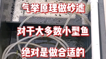 为了找到一个最适合青鱂鱼的饲养环境,两个月以前拿青鱂鱼盆改的砂滤.哔哩哔哩bilibili