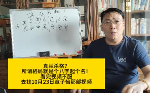 真从杀格吗?格局就是给八字起格名!不服看我说章子怡那部视频哔哩哔哩bilibili