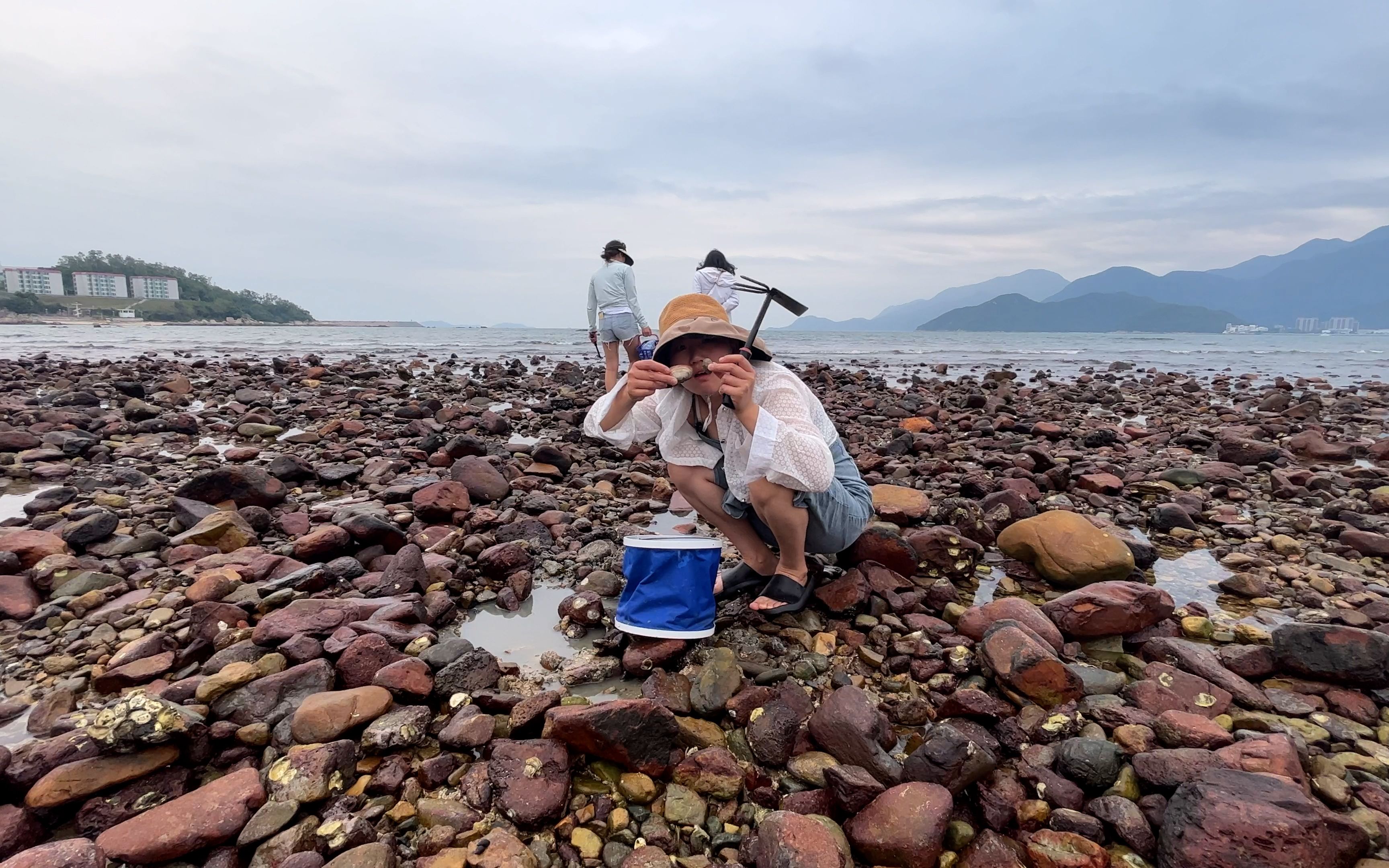 海边海货图片大全图片图片