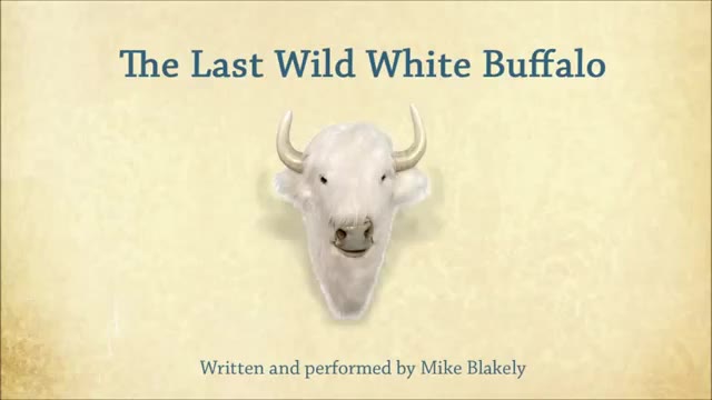 [图]The Last Wild White Buffalo