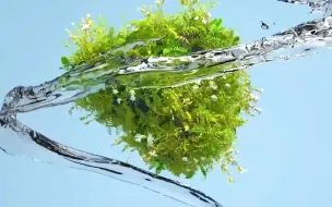 Download Video: 【C4D教程】这C4D植物生长水流动画太顺滑了！太逼真了！