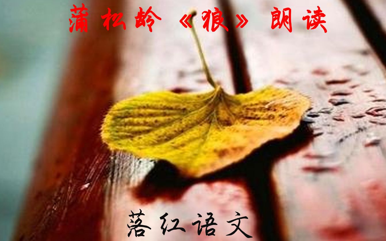 [图]蒲松龄《狼》朗读