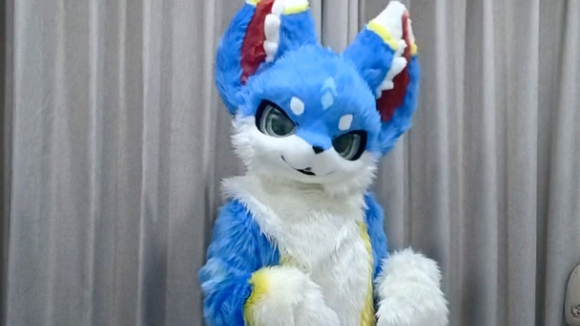 【兽装fursuit】海鲜狼羽凌哔哩哔哩bilibili