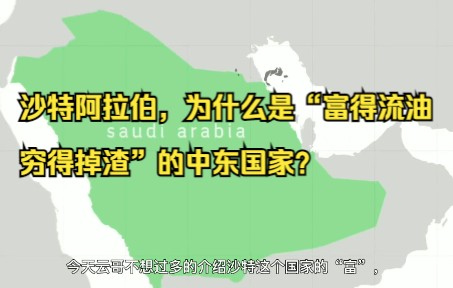 沙特阿拉伯,为什么是“富得流油、穷得掉渣”的中东国家?哔哩哔哩bilibili