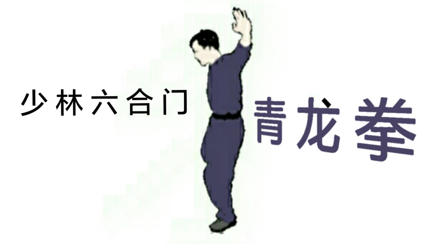 少林六合门【青龙拳】动画哔哩哔哩bilibili