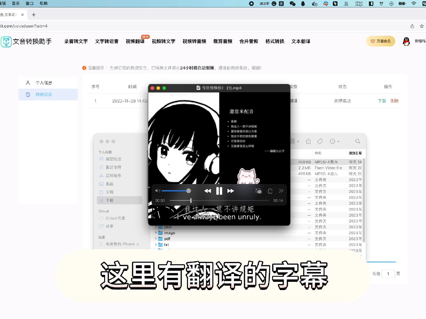 在线视频字幕翻译哔哩哔哩bilibili