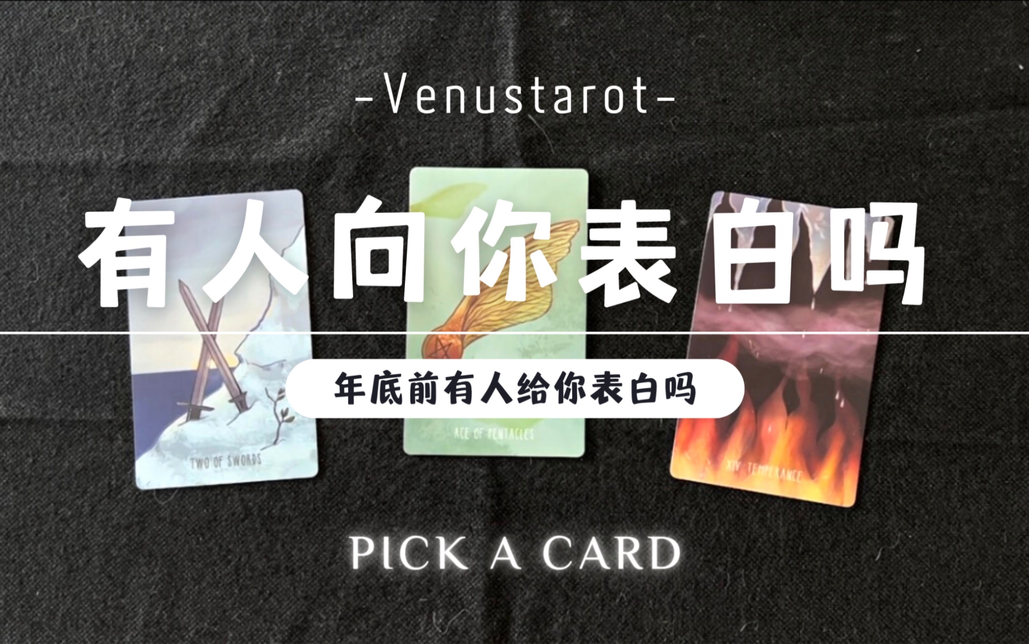 【venus塔罗】2023年结束前,有人向你表白吗?