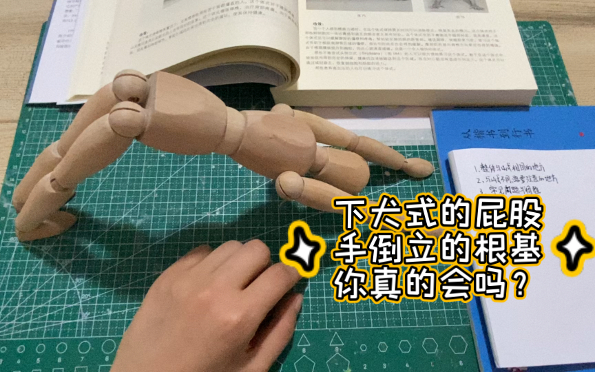 【零基础瑜伽教学】体式系列之下犬式(基础的下犬式,升级的手倒立,还是保姆级干货~)哔哩哔哩bilibili