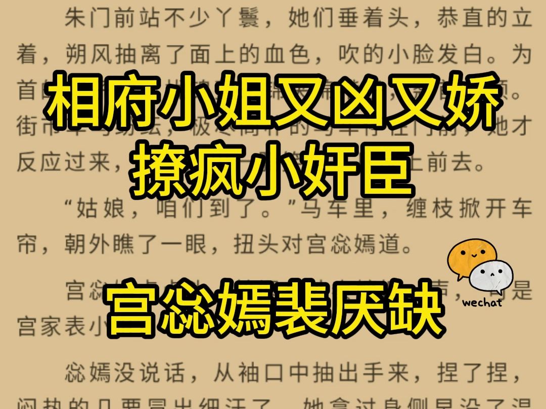 热门小说推荐——《相府小姐又凶又娇,撩疯小奸臣》宫惢嫣裴厌缺哔哩哔哩bilibili