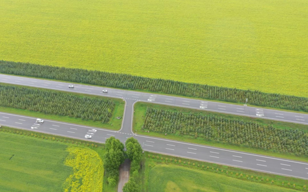 [图]Tesla club to Qinghai canola flower自驾新疆第四站青海省百里油菜花特来电是坏的打破行程