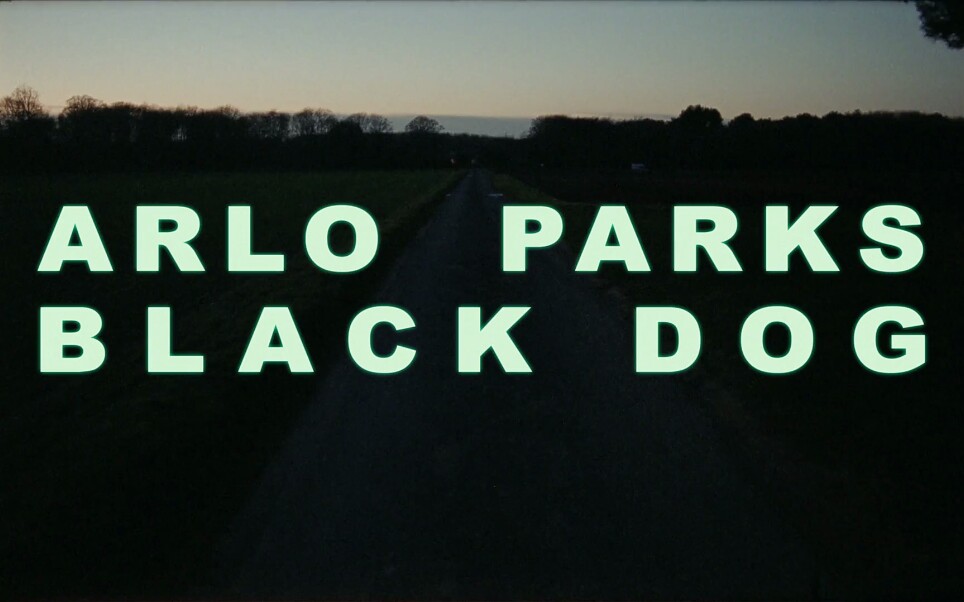 [图]Arlo Parks - Black Dog