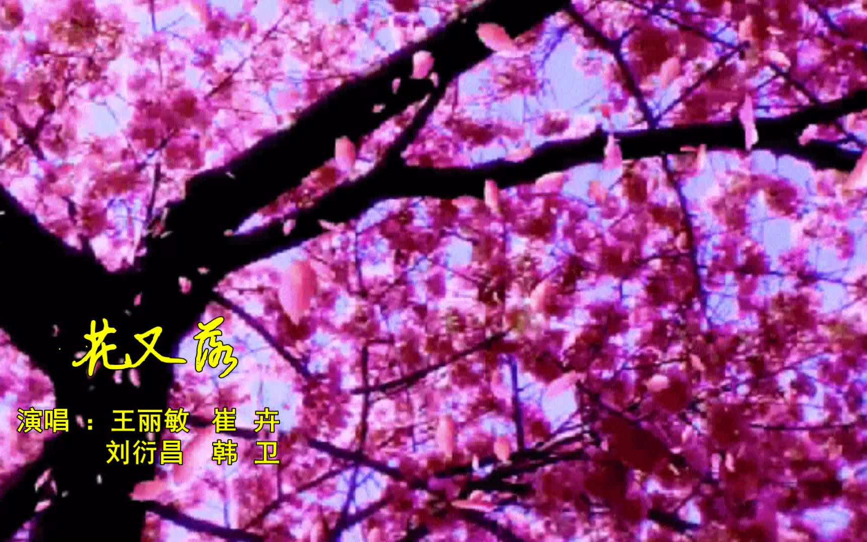 花又落 - 王丽敏, 崔 卉, 刘衍昌 ,韩 卫