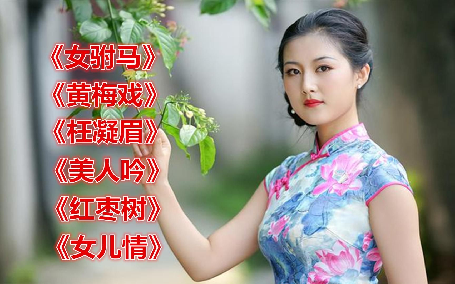 《女駙馬》《黃梅戲》《枉凝眉》《美人吟》《紅棗樹》《女兒情》