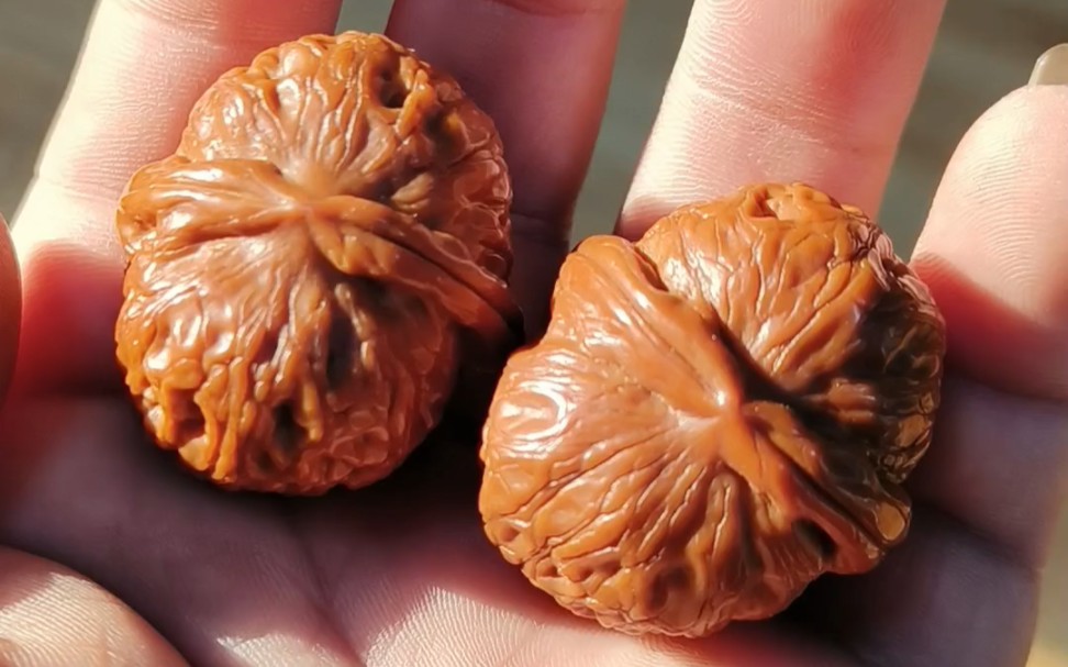 最近常玩的两对儿核桃平谷元宝和白狮子