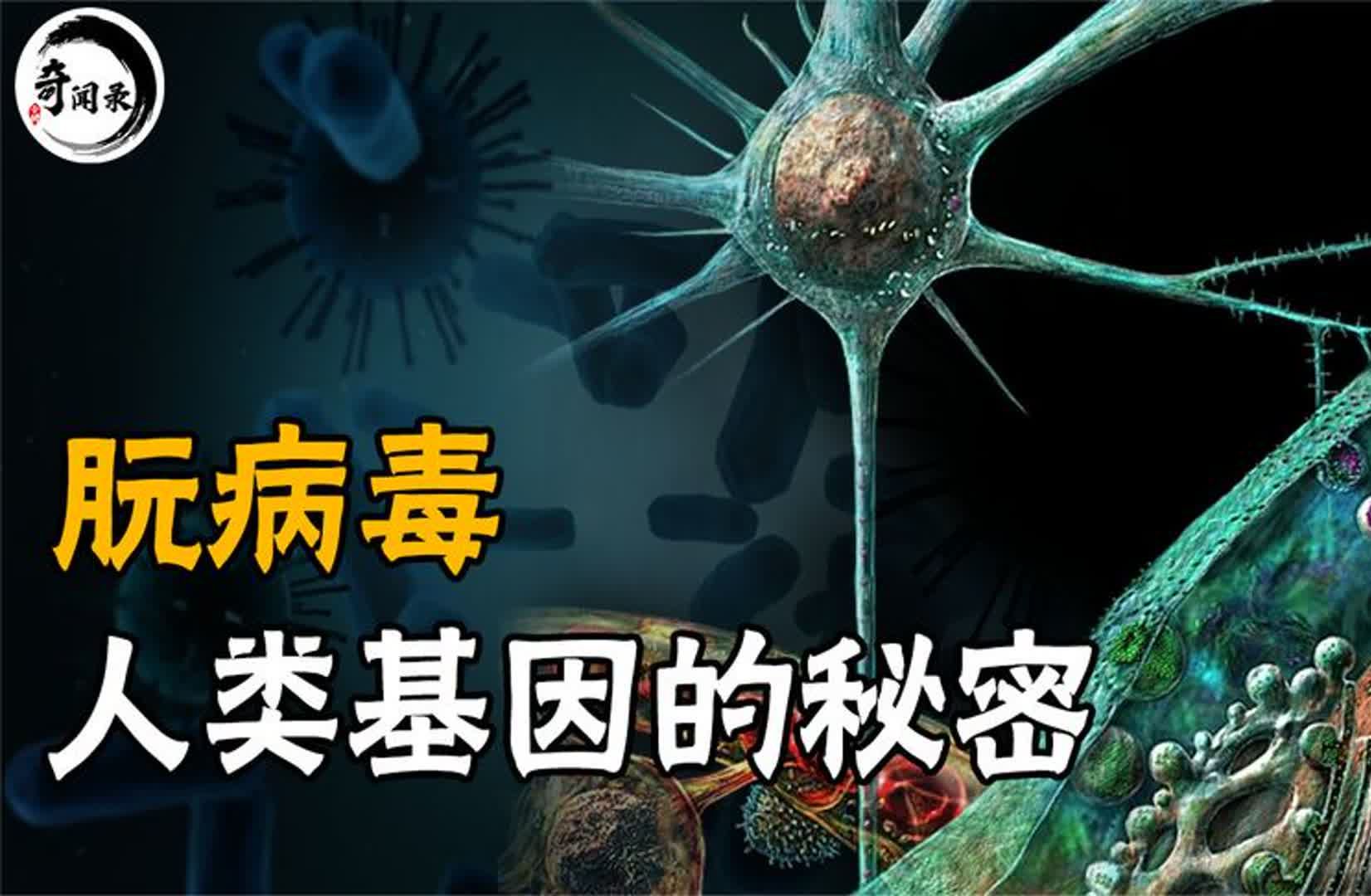 人类一直在被监视?刻在20号染色体上的禁令,是最后的底线!哔哩哔哩bilibili