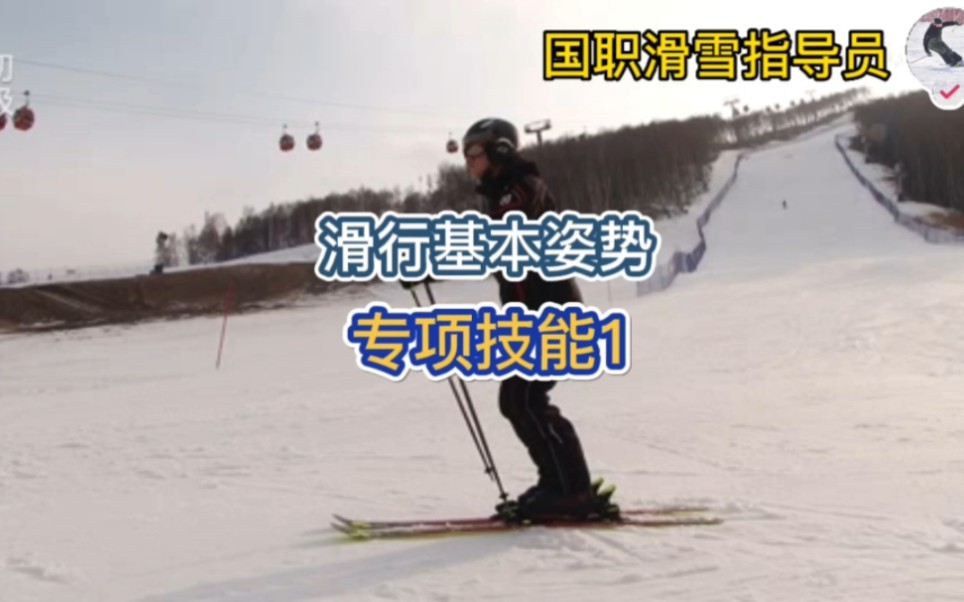 国职滑雪教练考试《滑行基本姿势》哔哩哔哩bilibili