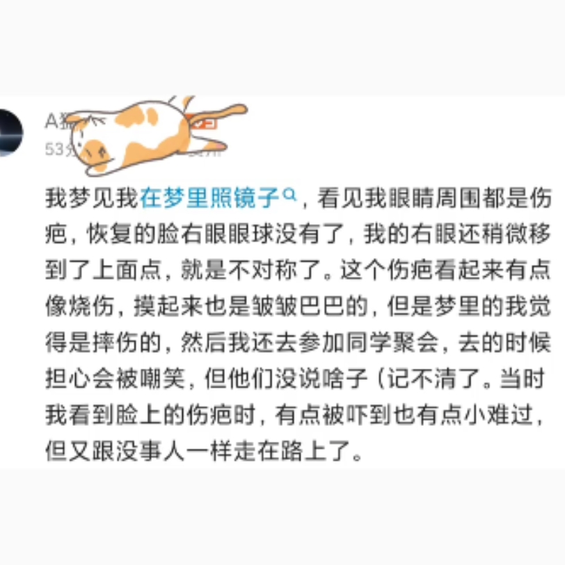 我梦见我在梦里照镜子,看见我眼睛周围都是伤疤,恢复的脸右眼眼球没有了哔哩哔哩bilibili