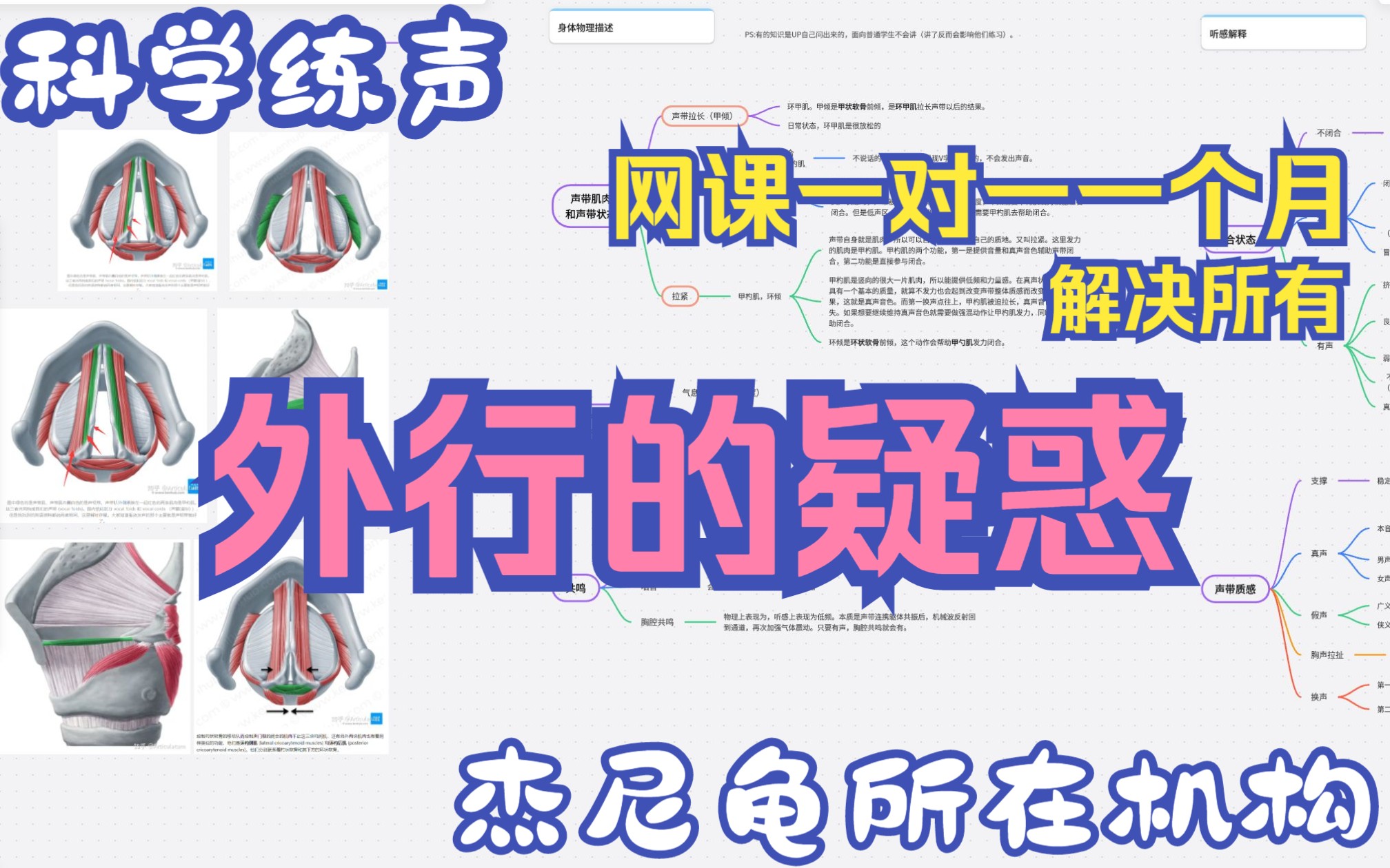 【流行演唱】练声理论入门导言哔哩哔哩bilibili