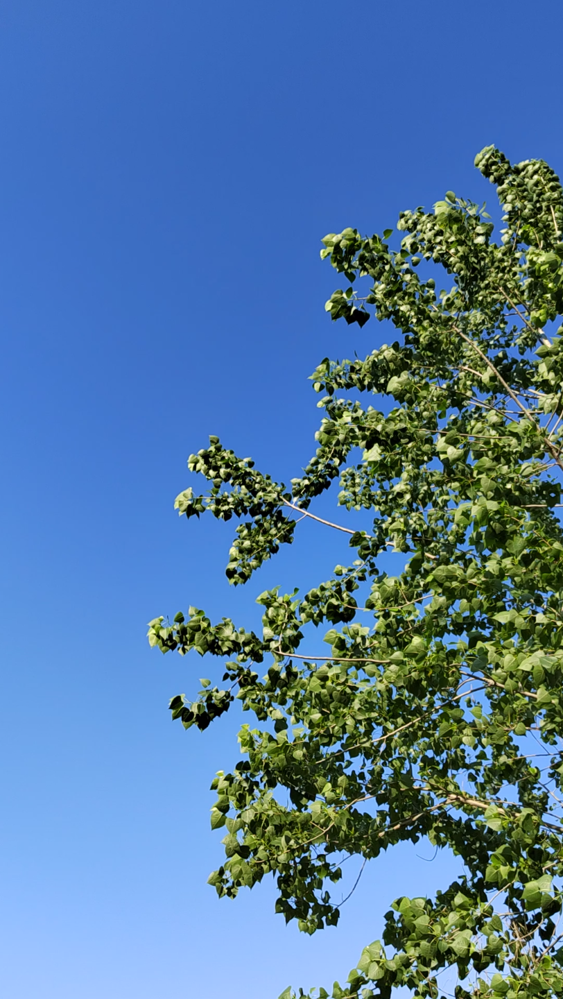 微风不燥,阳光正好