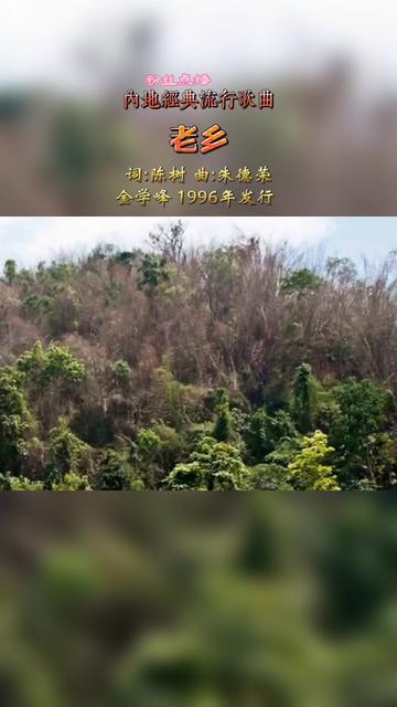 老乡见老乡两眼泪汪汪#内地经典流行歌曲#金学峰#粉丝点播