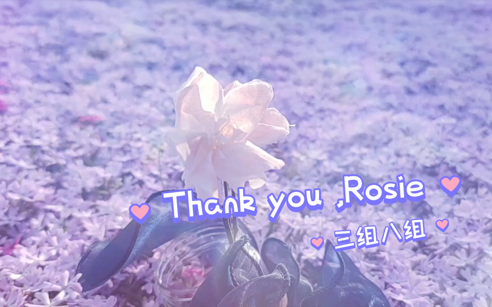 河北医科大学 英语课本剧Thank you,Rosie哔哩哔哩bilibili