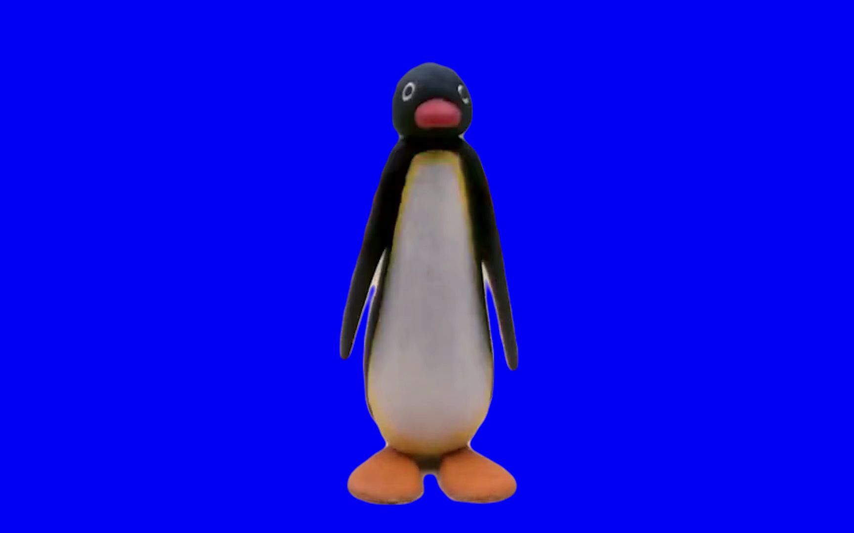 [图]奇形怪状的pingu.bb