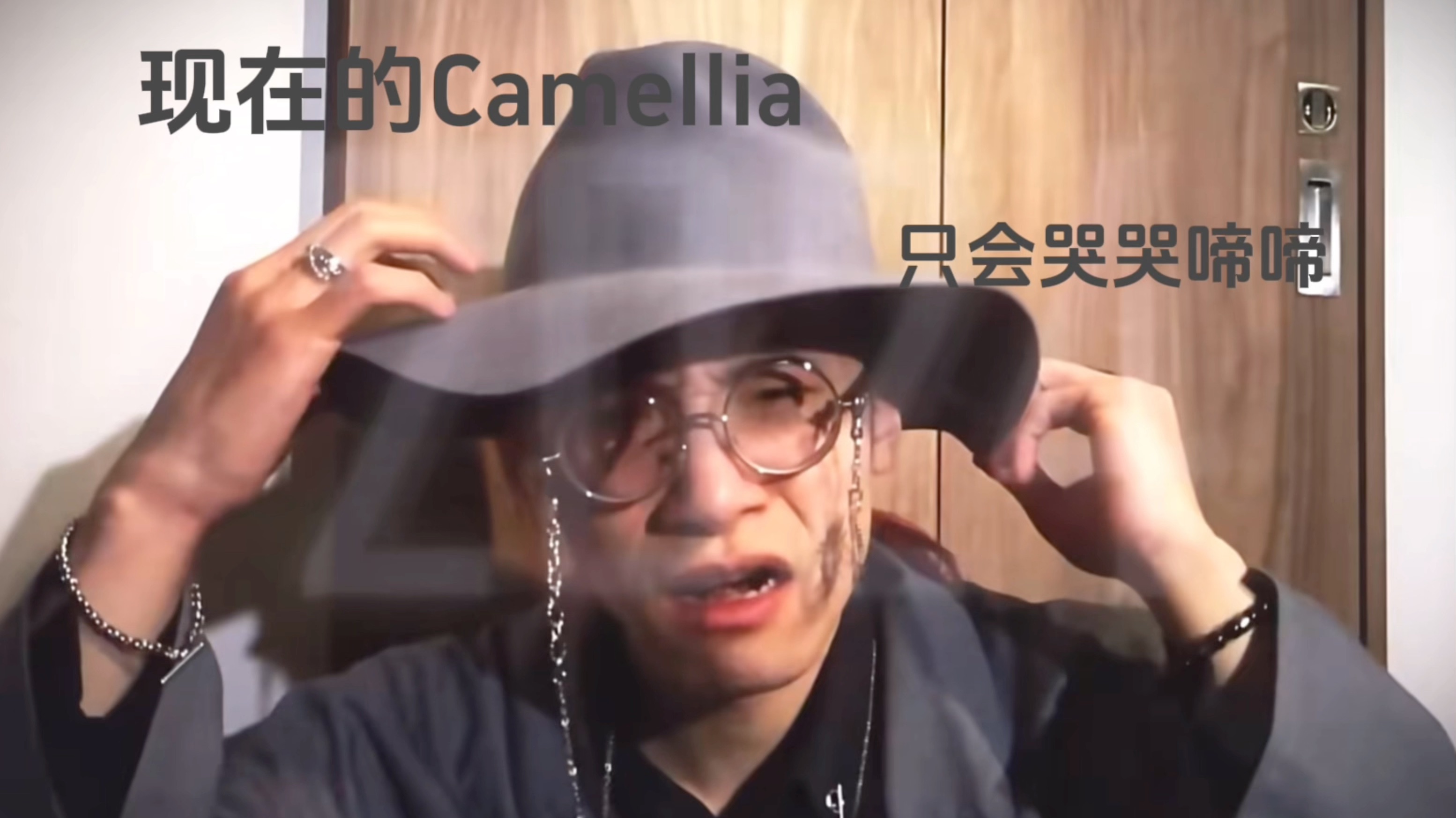 现在的Camellia vs 以前的Camellia哔哩哔哩bilibili