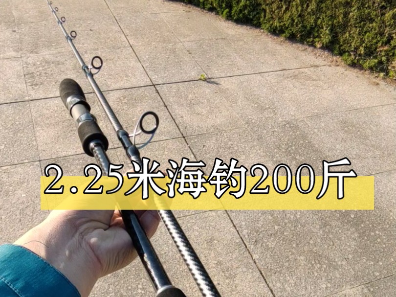 硬抗200斤大物鱼竿