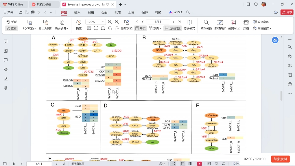 “转录组+硒响应”论文思路分享哔哩哔哩bilibili