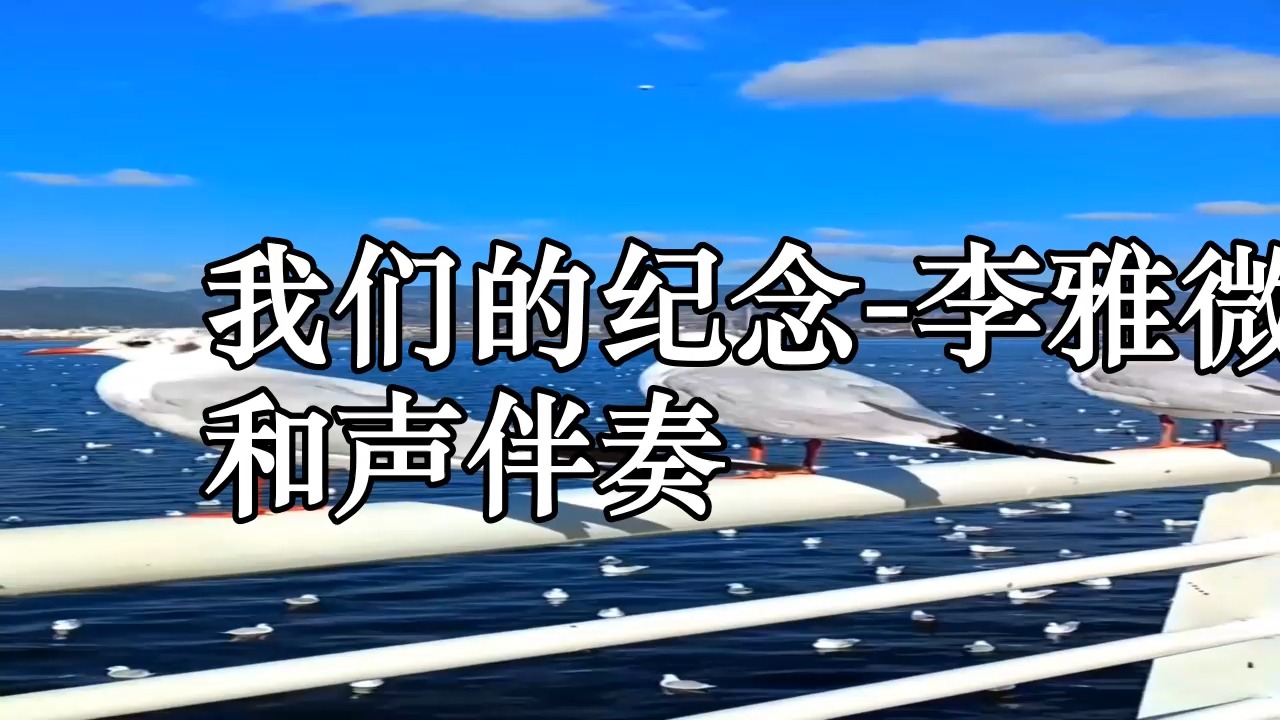 我们的纪念-李雅微 和声伴奏