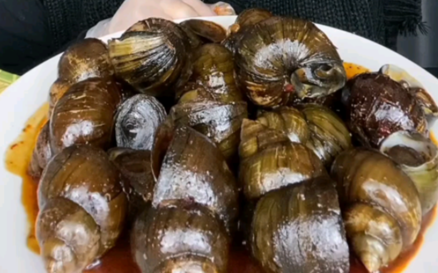 直接开吃|大田螺 鱼肥油 希鲮鱼籽