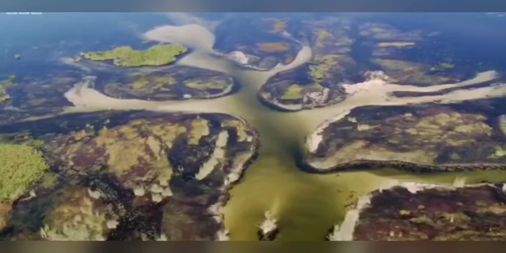 grrfgthhtsdtg股fg个饭