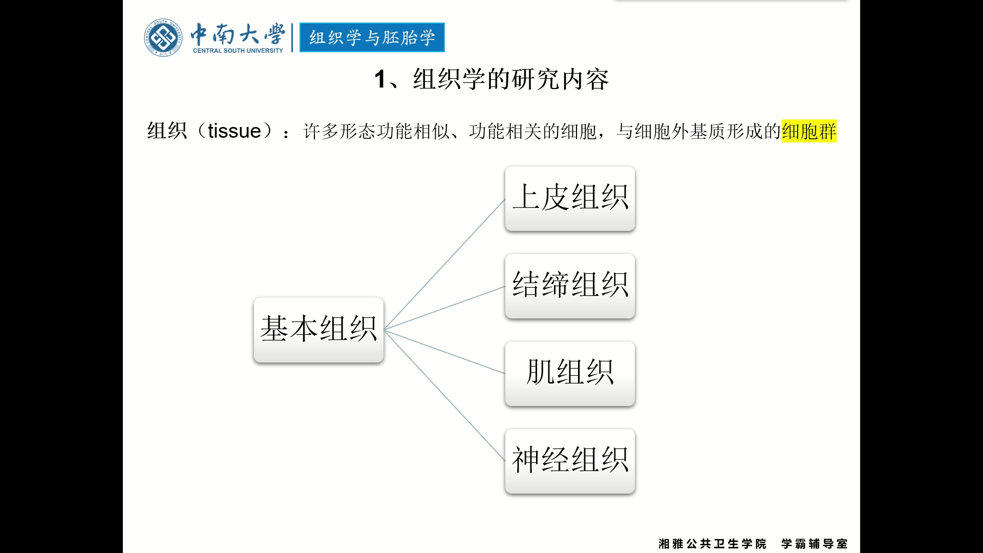 《组织学与胚胎学》第1~3章哔哩哔哩bilibili