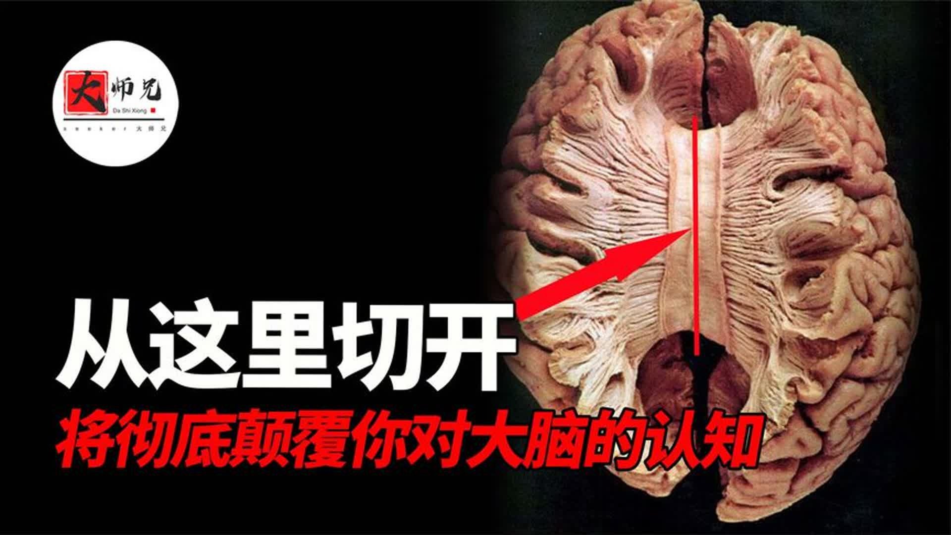 你大脑中有无数个你在争夺你身体的控制权！大脑一直在欺骗你