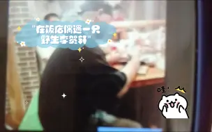 Скачать видео: 在饭店偶遇一只野生李贺轩