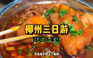 Video herunterladen: 小陆VLOG|柳州三日游！72小时吃36家店是什么样的体验！