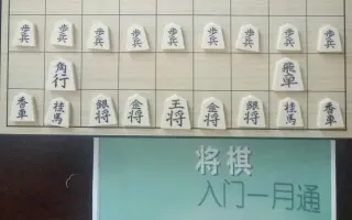 学习将棋 搜索结果 哔哩哔哩 Bilibili