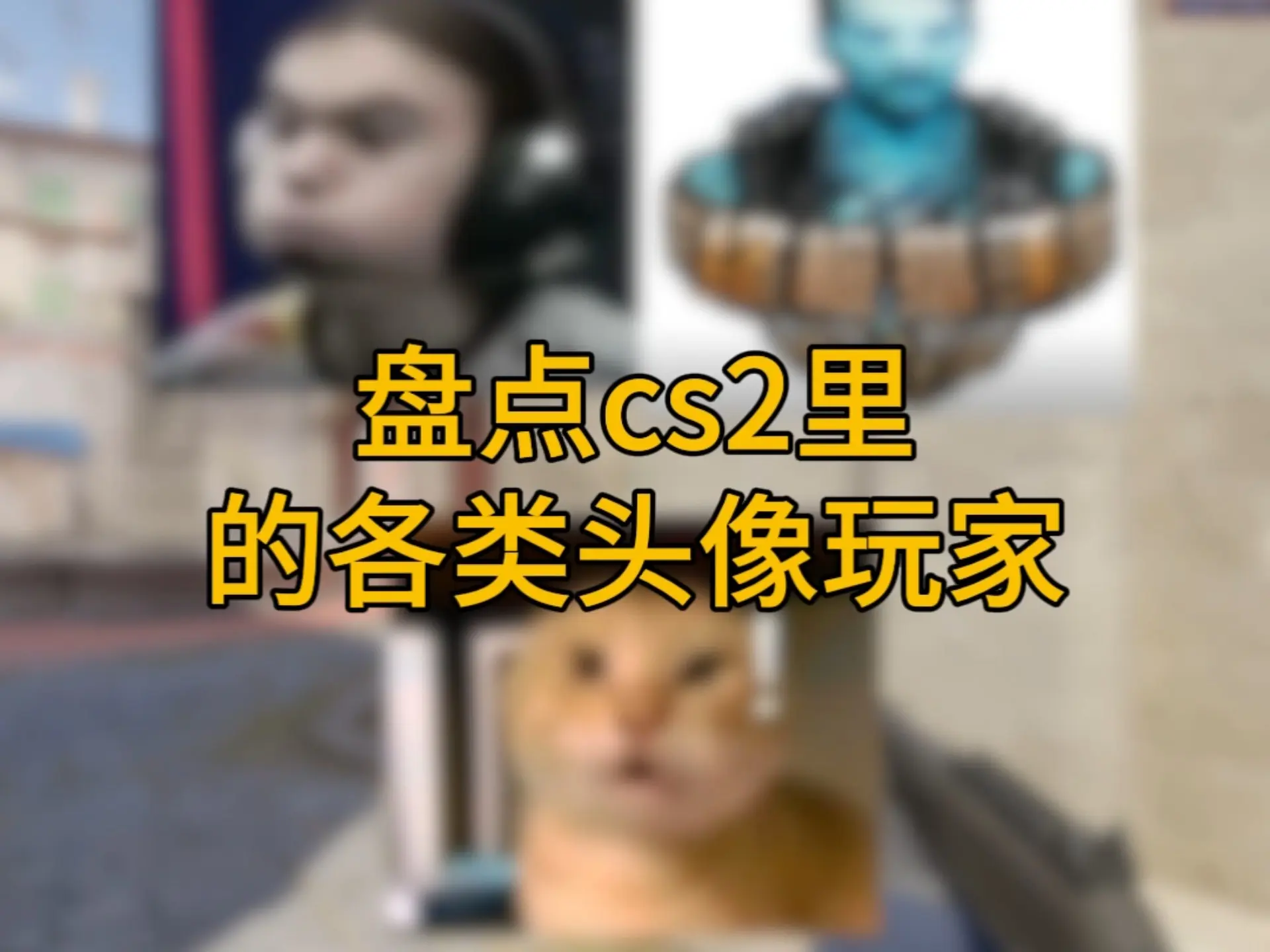 盘点cs2里的各类头像玩家