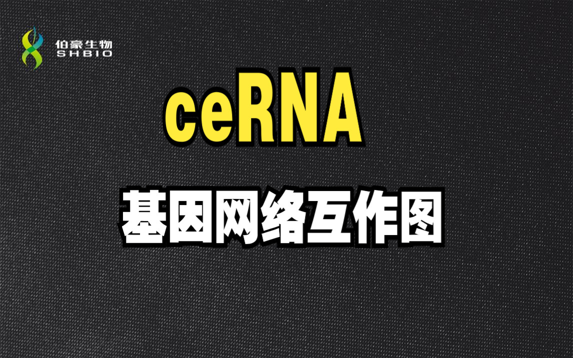 【生信分析作图&大数据】第七讲 ceRNA基因网络互作图伯豪生物哔哩哔哩bilibili