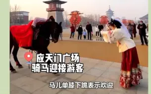 Tải video: 河南文旅鲨疯了，网友直呼：尔滨我明年再来宠信你，我先去翻下河南的牌子