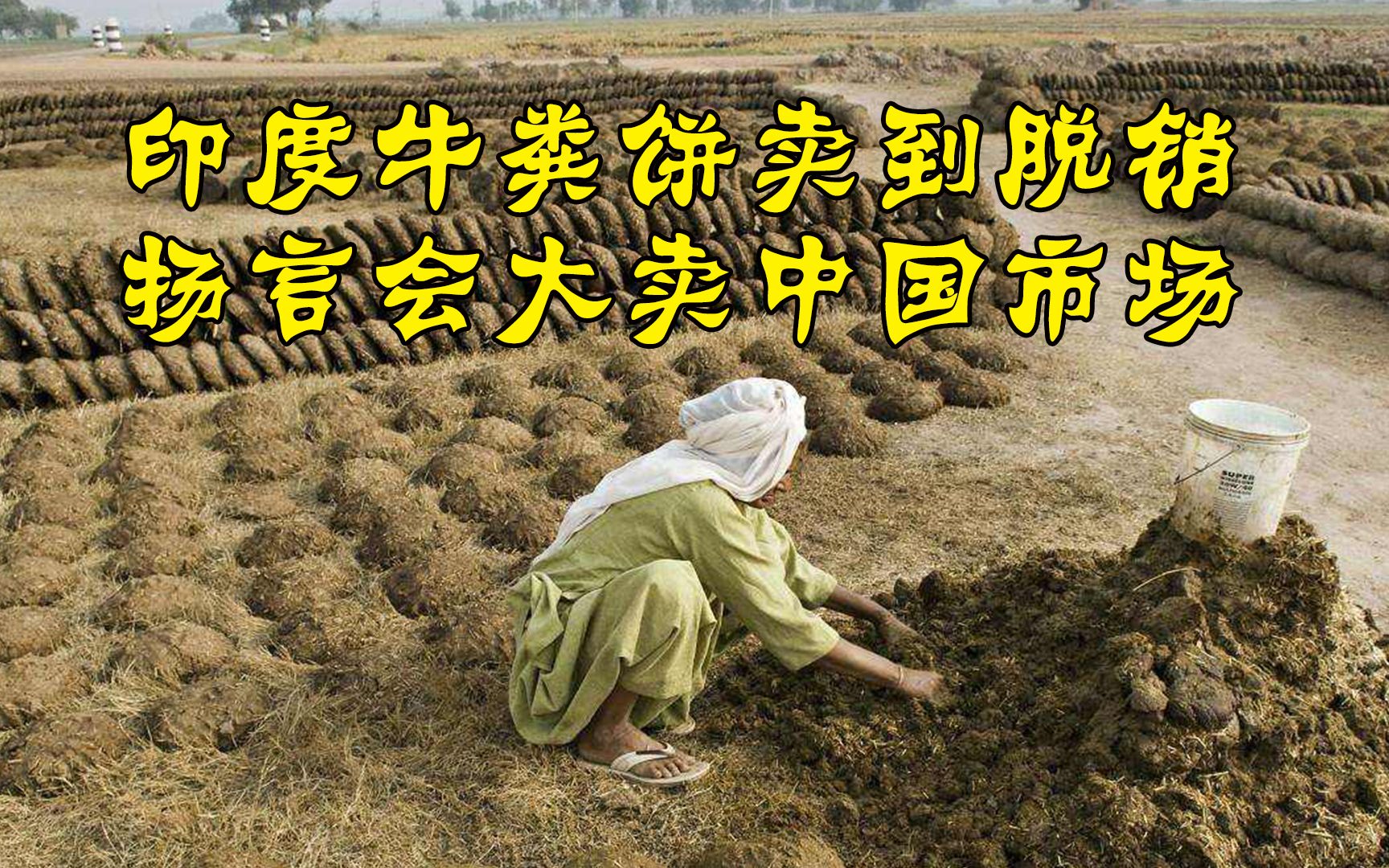 印度牛粪饼卖到脱销扬言会大卖中国市场中国网友天方夜谭
