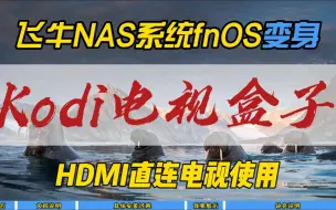 下载视频: 飞牛NAS系统fnOS变身Kodi电视盒子~HDMI直连电视使用~