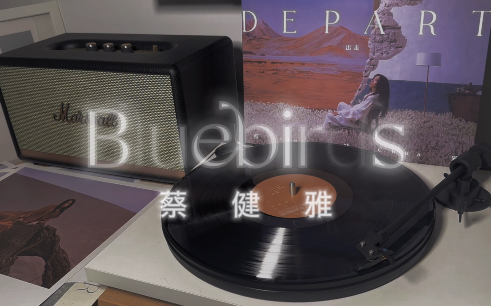 [图]蔡健雅-Bluebirds｜DEPART专辑｜黑胶LP